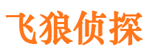 包河市侦探调查公司